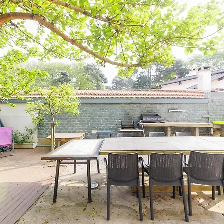 Le Doolie's - Siquijor Habitación Privada - Jardín - Salón